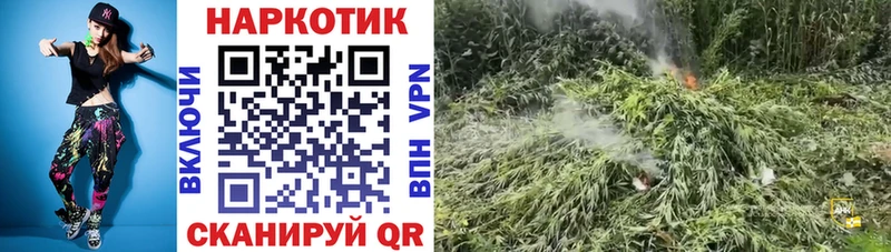 Виды наркотиков купить Княгинино Бошки Шишки Cocaine МЕФ