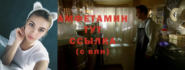 шишки Алзамай