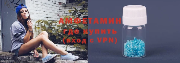 шишки Алзамай