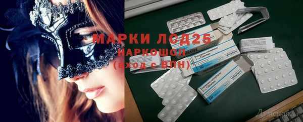 ПСИЛОЦИБИНОВЫЕ ГРИБЫ Алексин