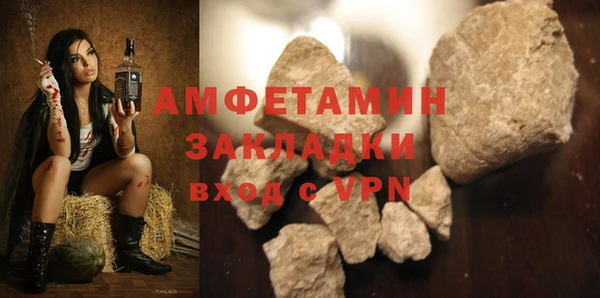 дживик Няндома