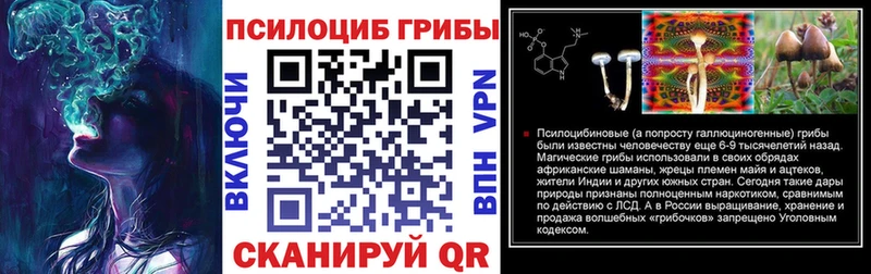 Псилоцибиновые грибы Psilocybine cubensis  Княгинино 