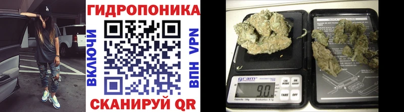 Канабис план kraken маркетплейс Княгинино